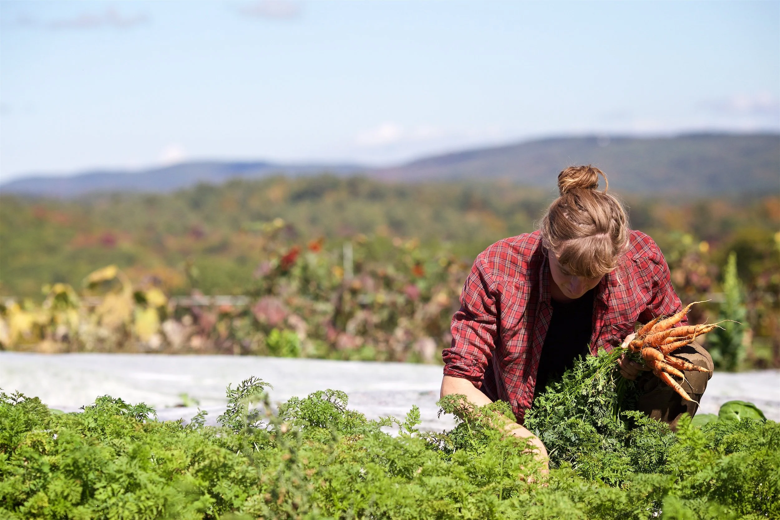 Full Plate Farms